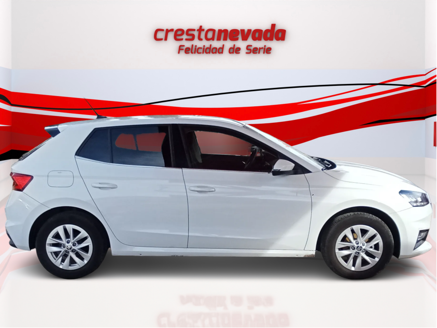 Imagen de Skoda Fabia