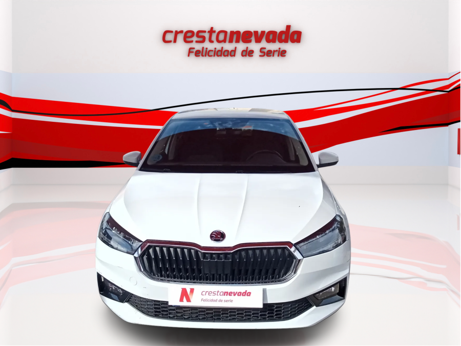 Imagen de Skoda Fabia