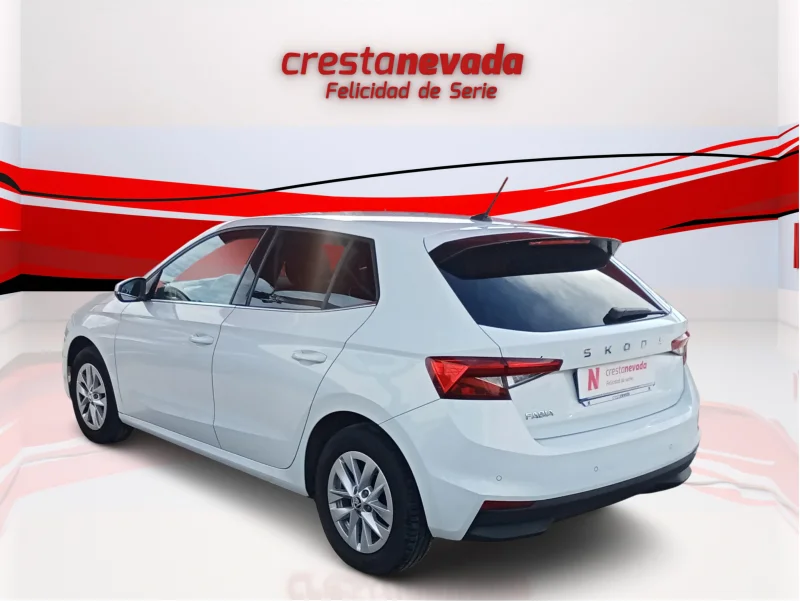 Imagen de Skoda Fabia