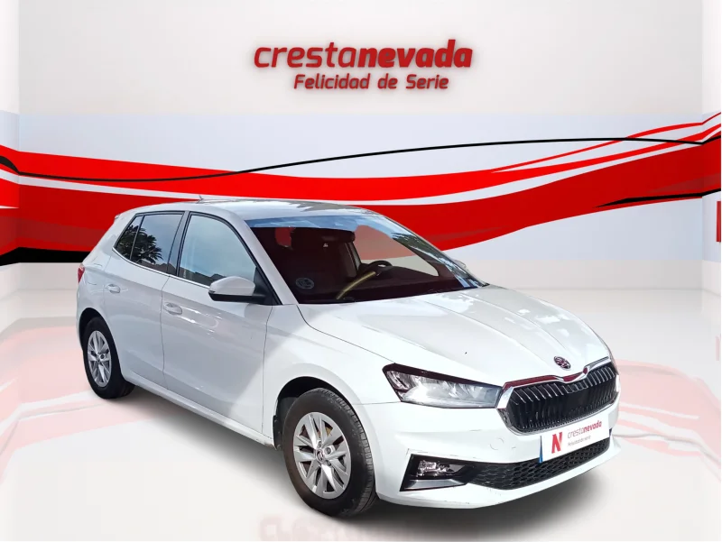 Imagen de Skoda Fabia