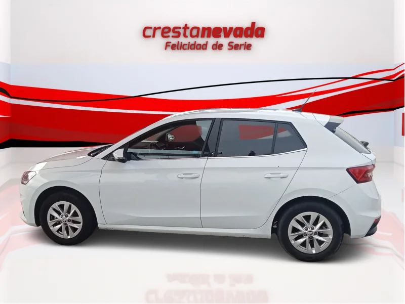 Imagen de Skoda Fabia