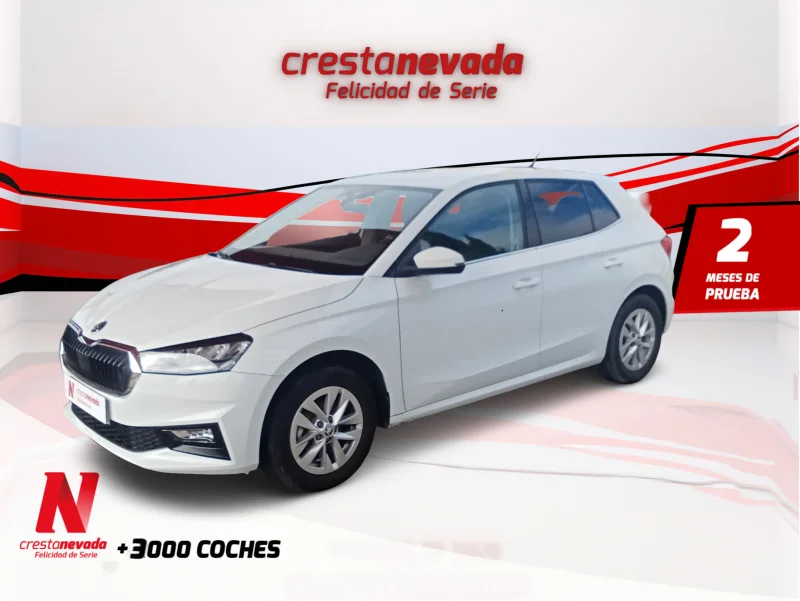 Imagen de Skoda Fabia