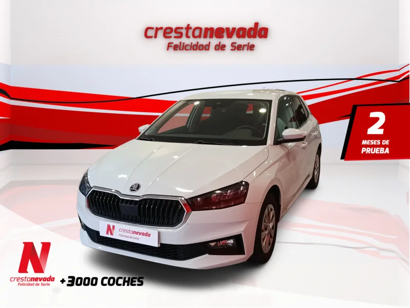 Imagen de Skoda Fabia