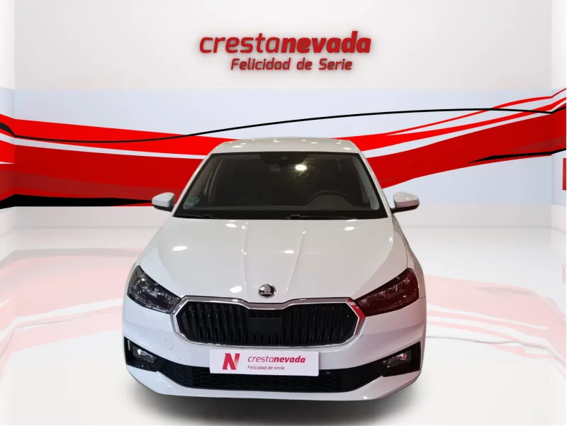 Imagen de Skoda Fabia