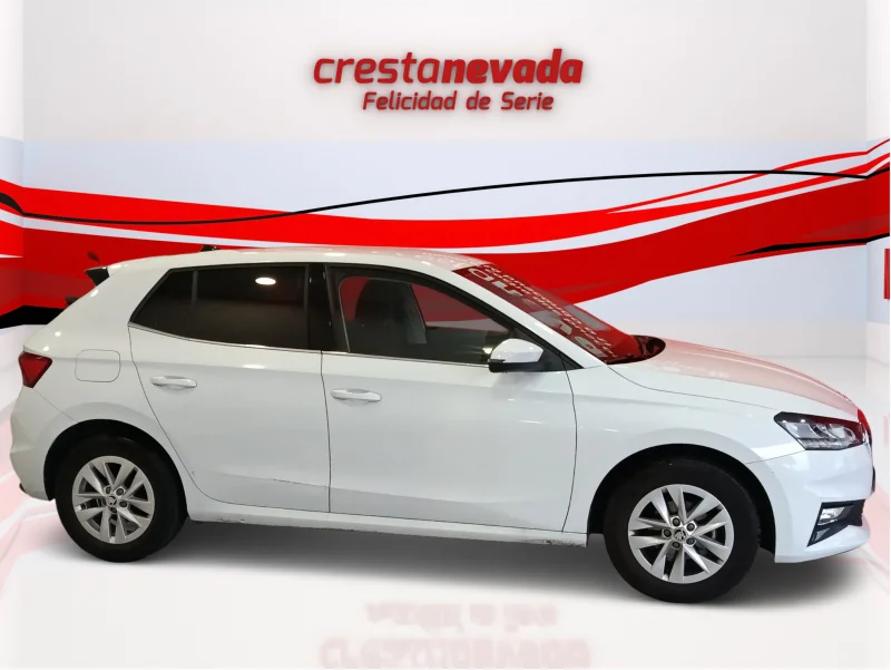 Imagen de Skoda Fabia