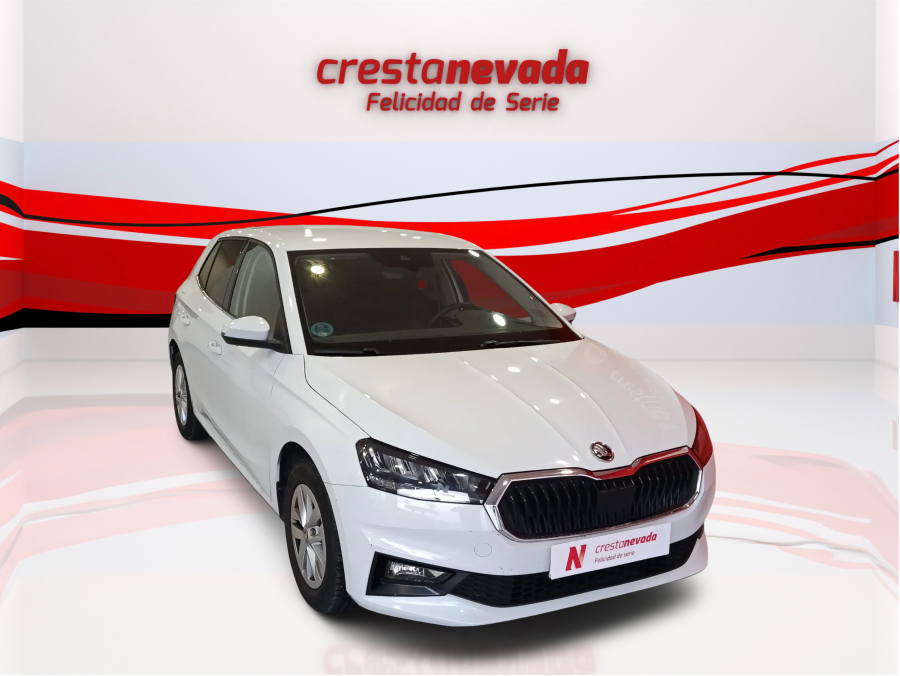Imagen de Skoda Fabia