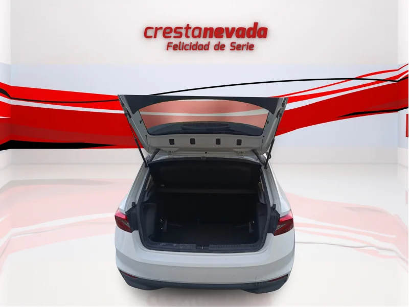 Imagen de Skoda Fabia