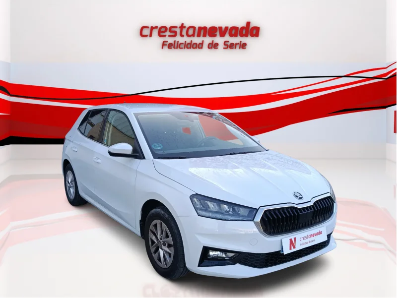 Imagen de Skoda Fabia