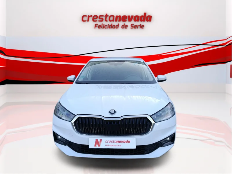 Imagen de Skoda Fabia