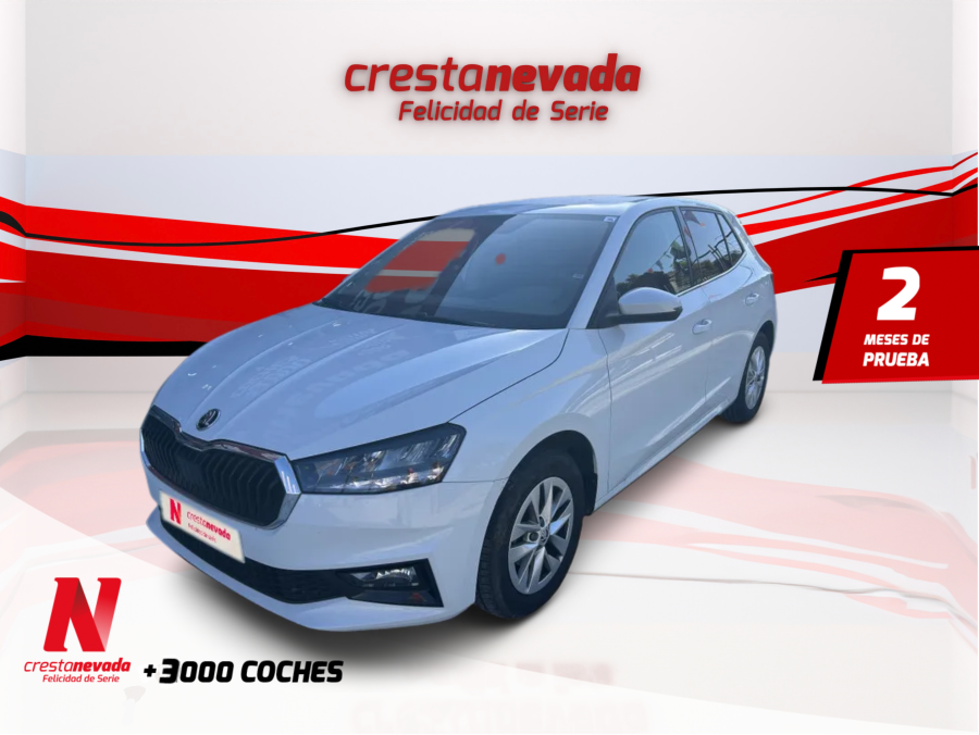 Imagen de Skoda Fabia