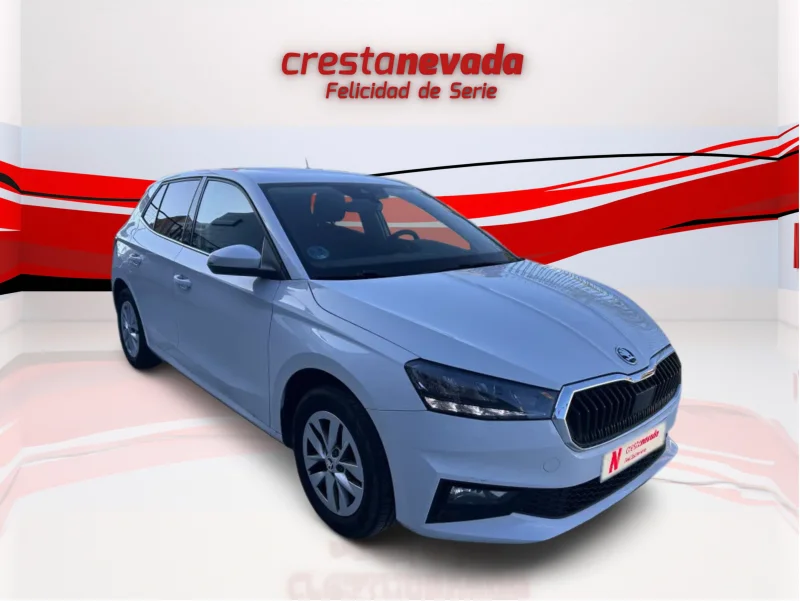 Imagen de Skoda Fabia