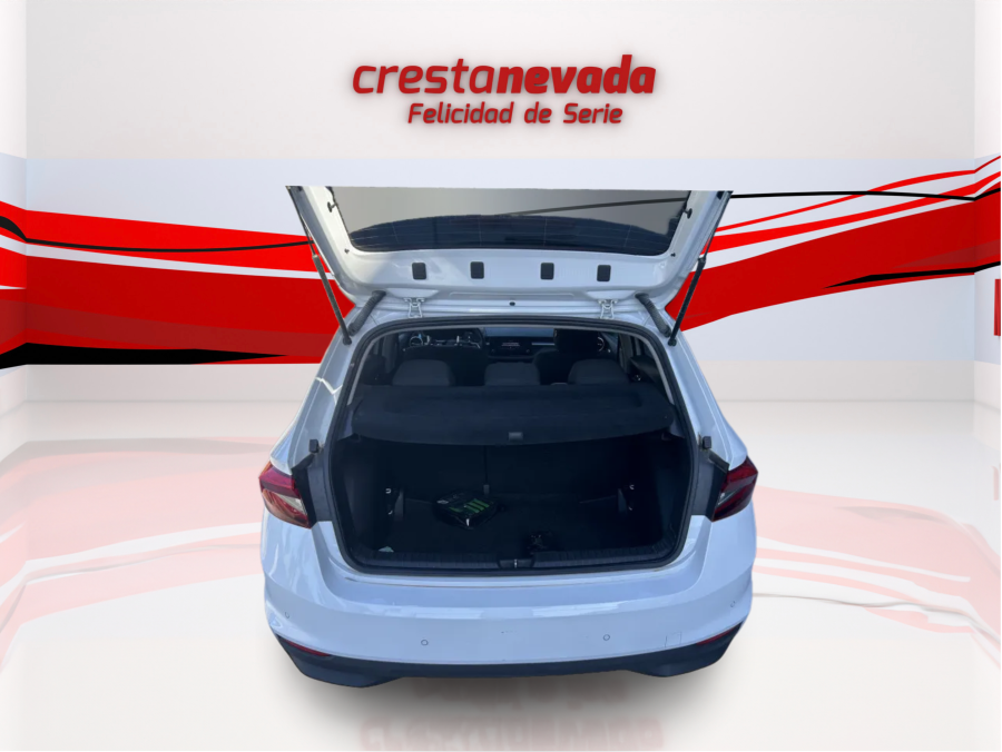 Imagen de Skoda Fabia