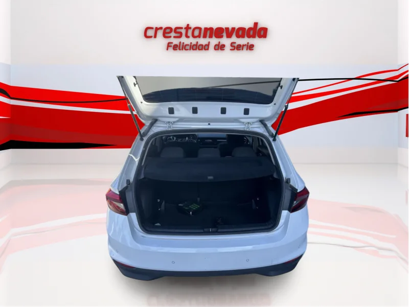 Imagen de Skoda Fabia