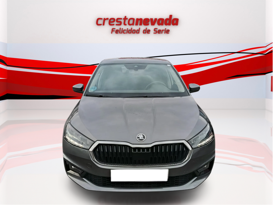 Imagen de Skoda Fabia
