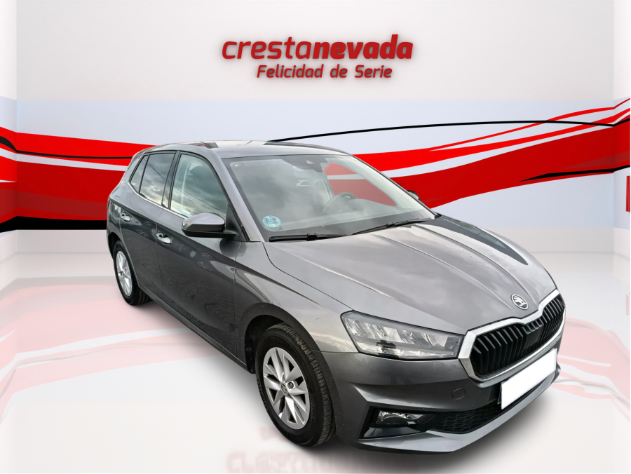 Imagen de Skoda Fabia