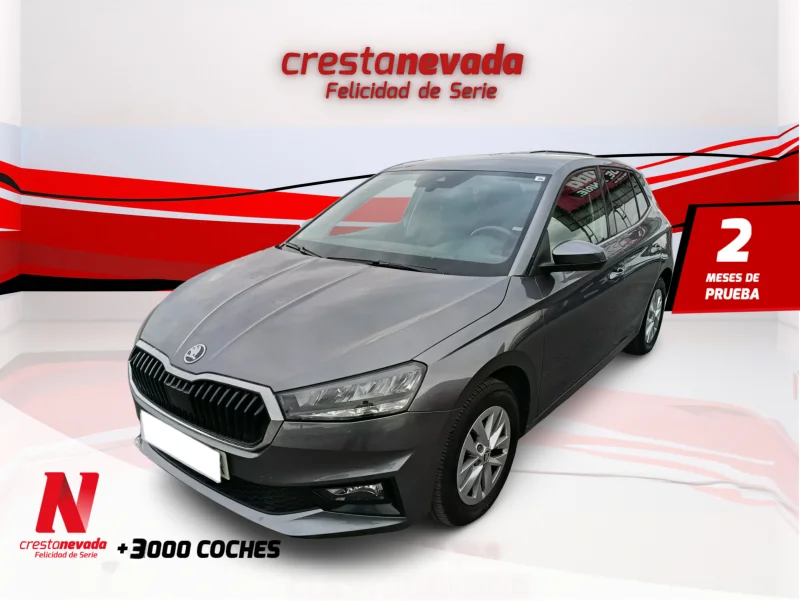 Imagen de Skoda Fabia