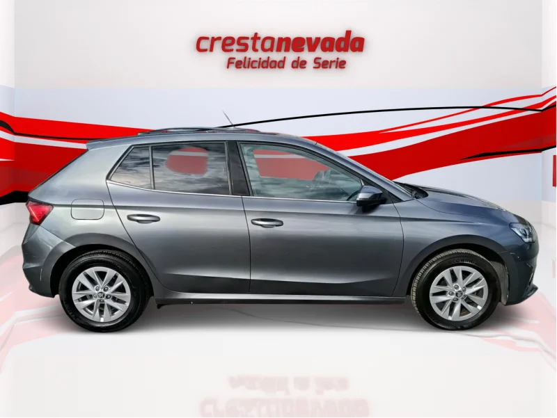 Imagen de Skoda Fabia