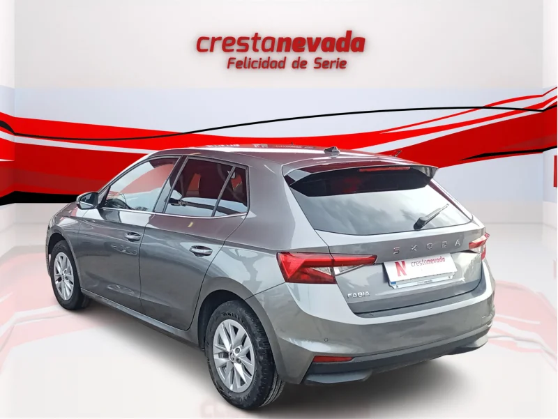 Imagen de Skoda Fabia