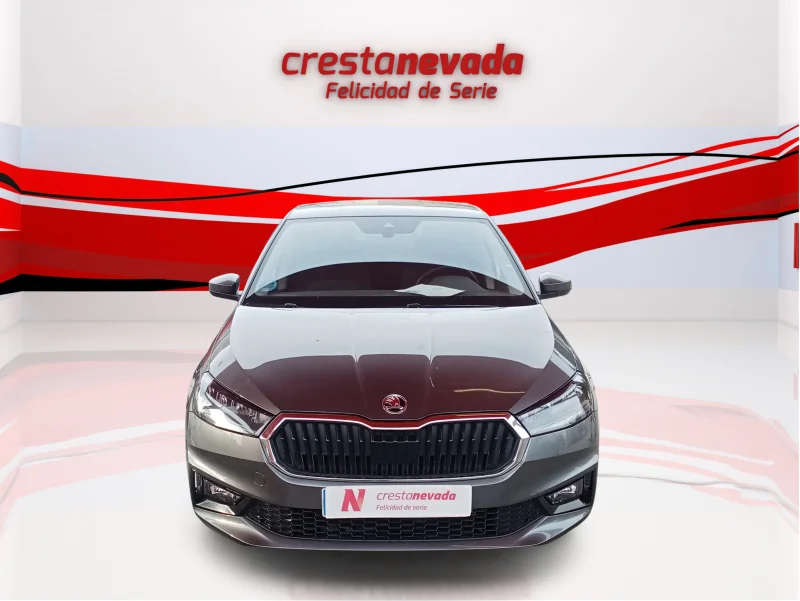 Imagen de Skoda Fabia