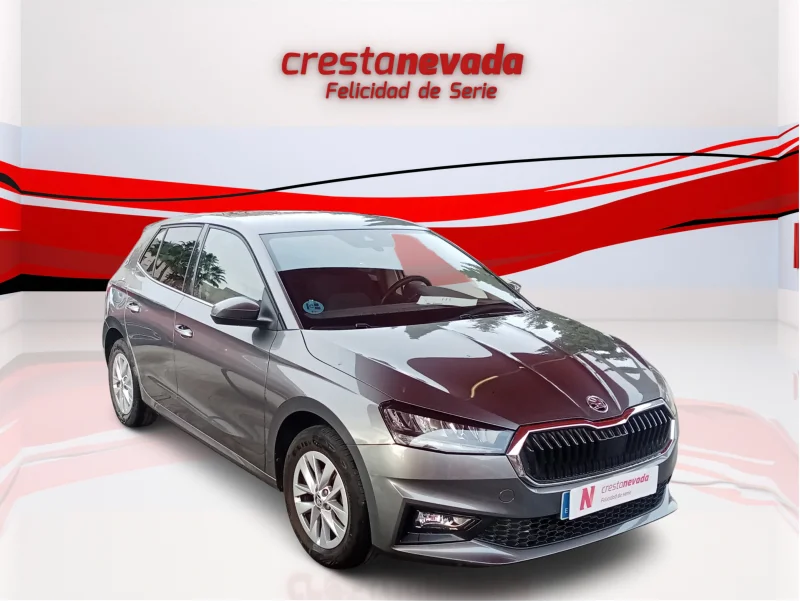 Imagen de Skoda Fabia