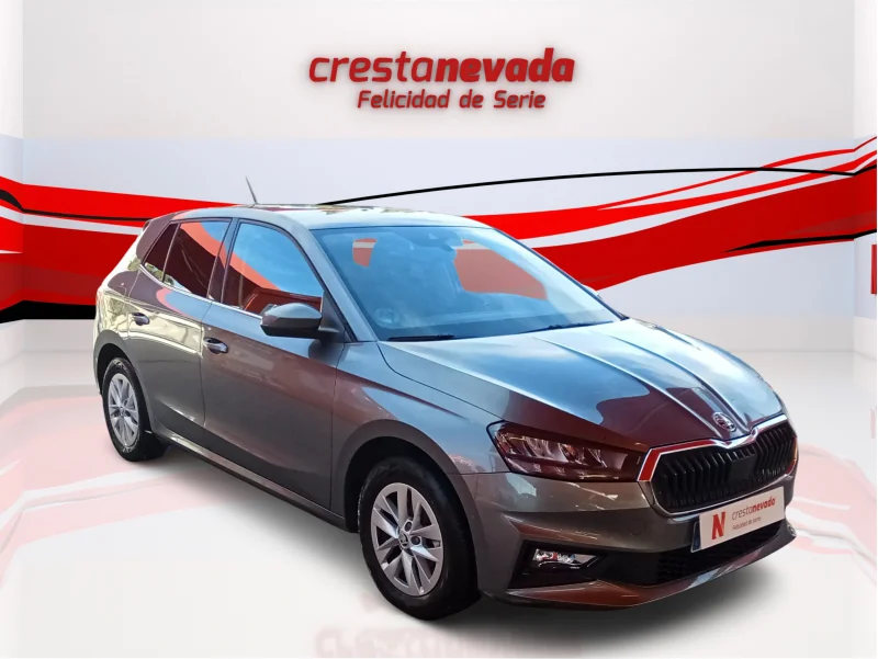 Imagen de Skoda Fabia