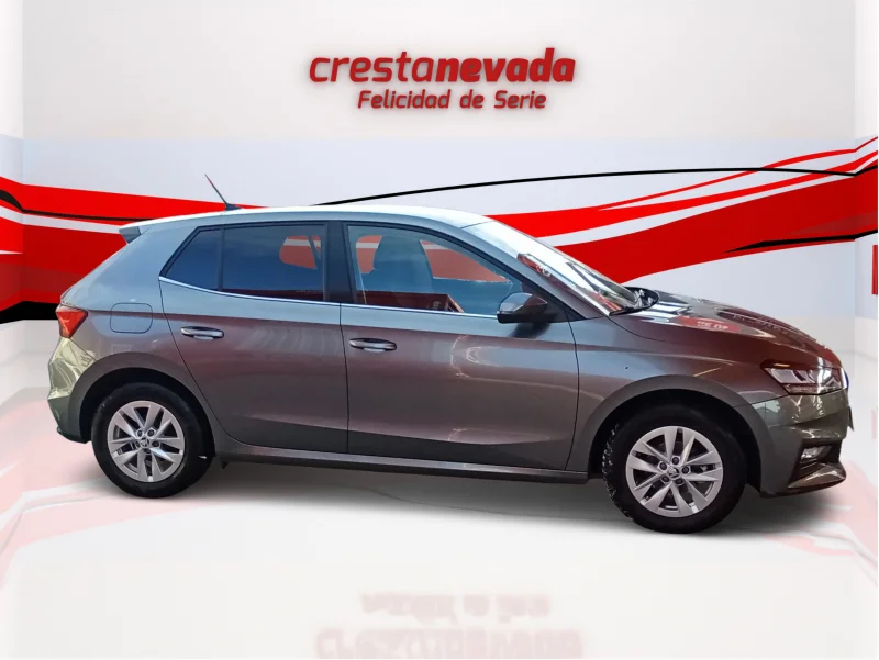 Imagen de Skoda Fabia