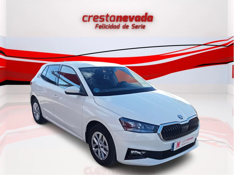 Imagen de Skoda Fabia