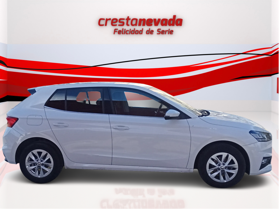 Imagen de Skoda Fabia