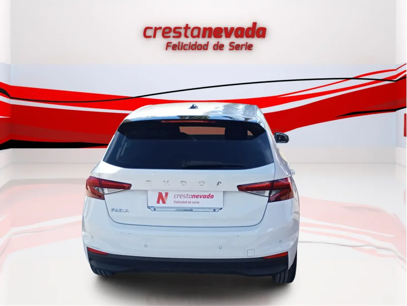 Imagen de Skoda Fabia