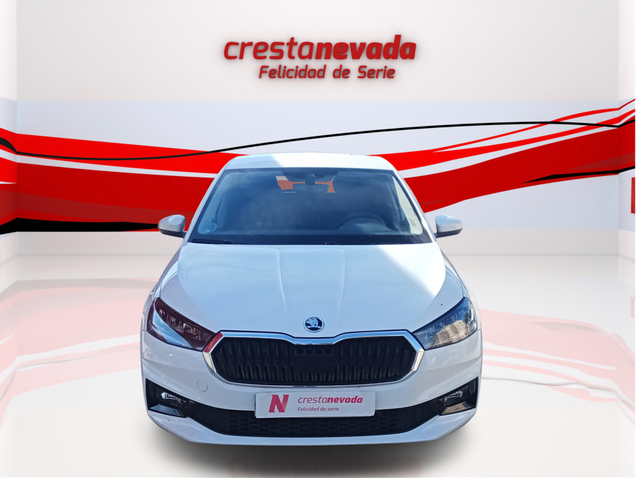 Imagen de Skoda Fabia
