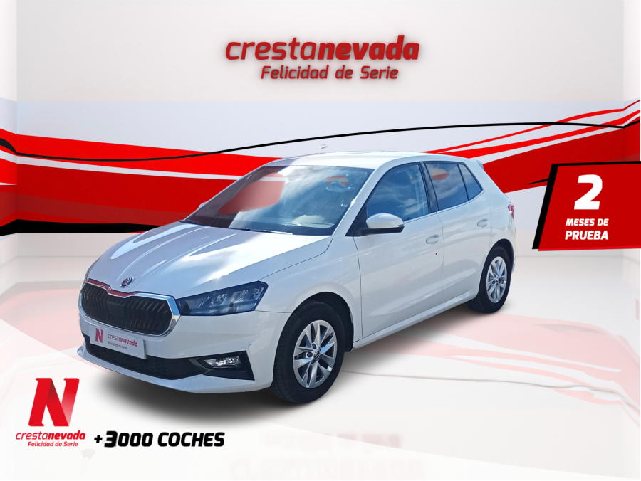 Imagen de Skoda Fabia
