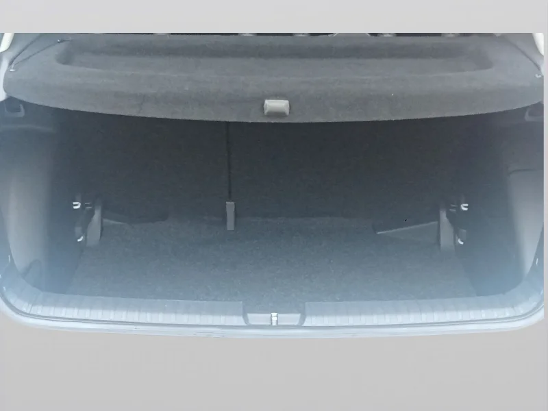 Imagen de Skoda Fabia