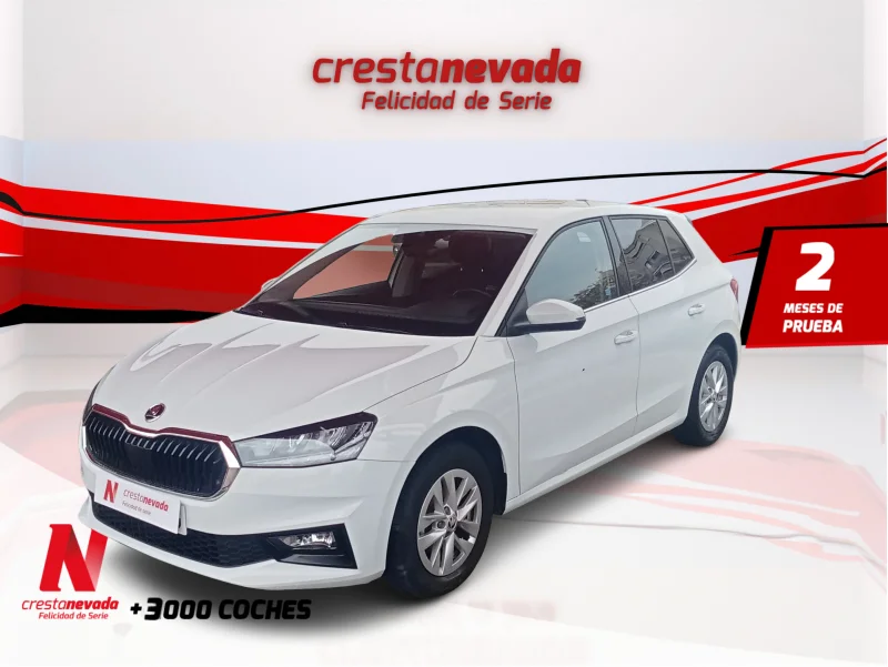 Imagen de Skoda Fabia