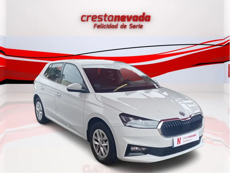 Imagen de Skoda Fabia