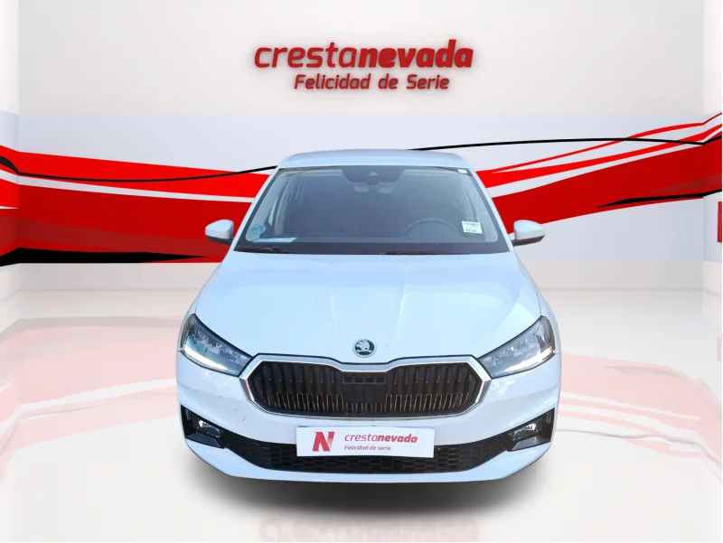 Imagen de Skoda Fabia
