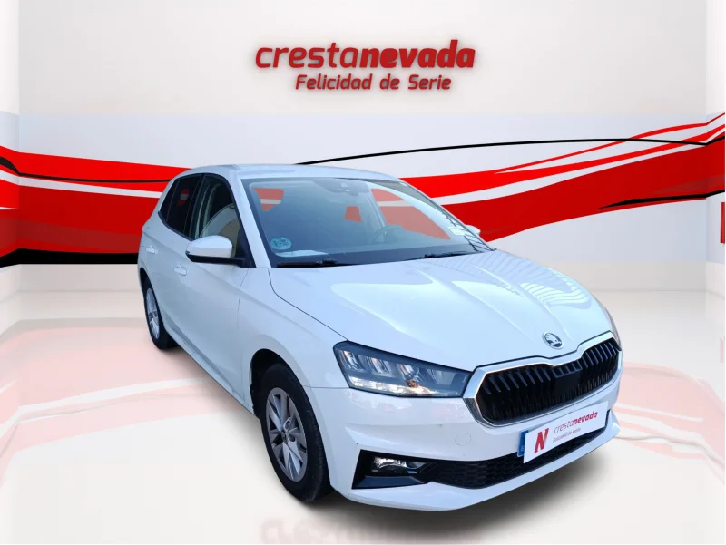 Imagen de Skoda Fabia