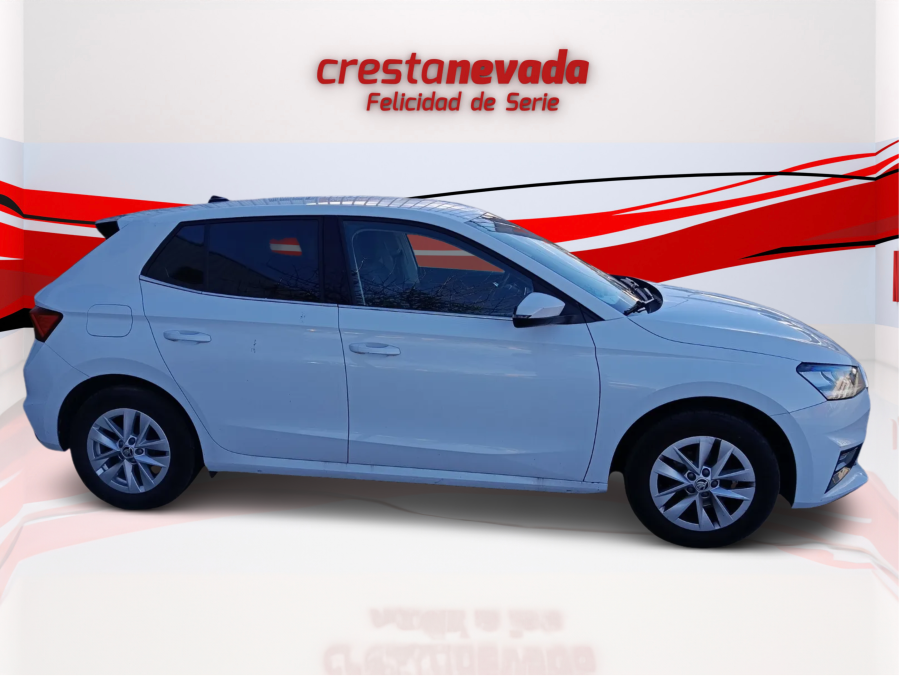 Imagen de Skoda Fabia