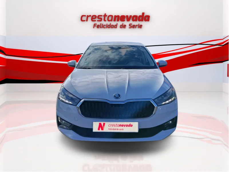 Imagen de Skoda Fabia