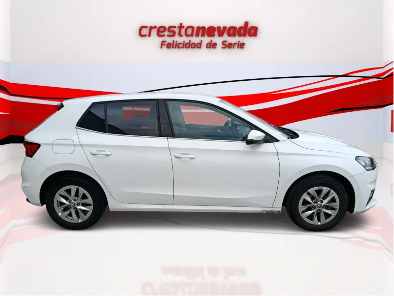 Imagen de Skoda Fabia