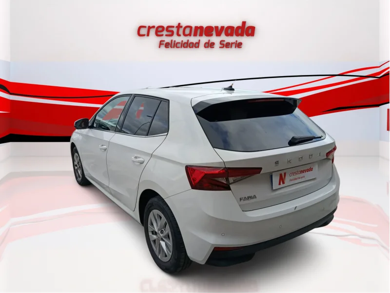 Imagen de Skoda Fabia