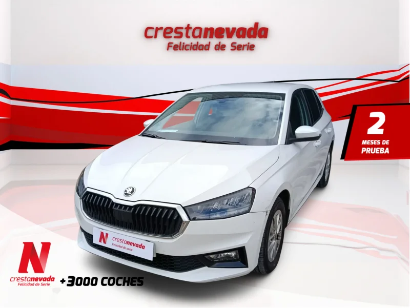 Imagen de Skoda Fabia