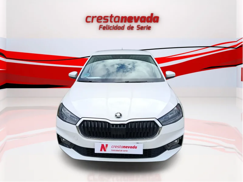 Imagen de Skoda Fabia