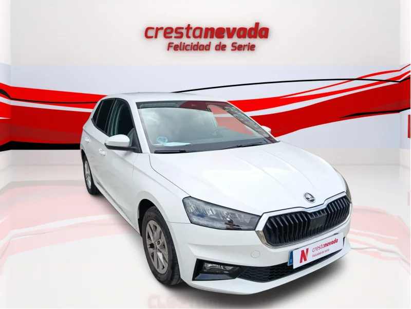 Imagen de Skoda Fabia