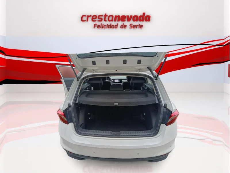 Imagen de Skoda Fabia