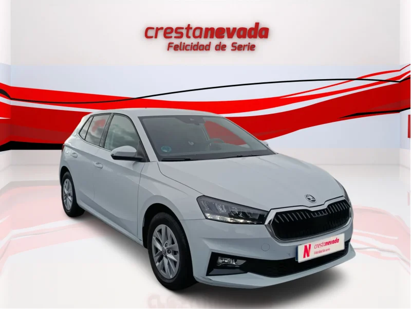 Imagen de Skoda Fabia
