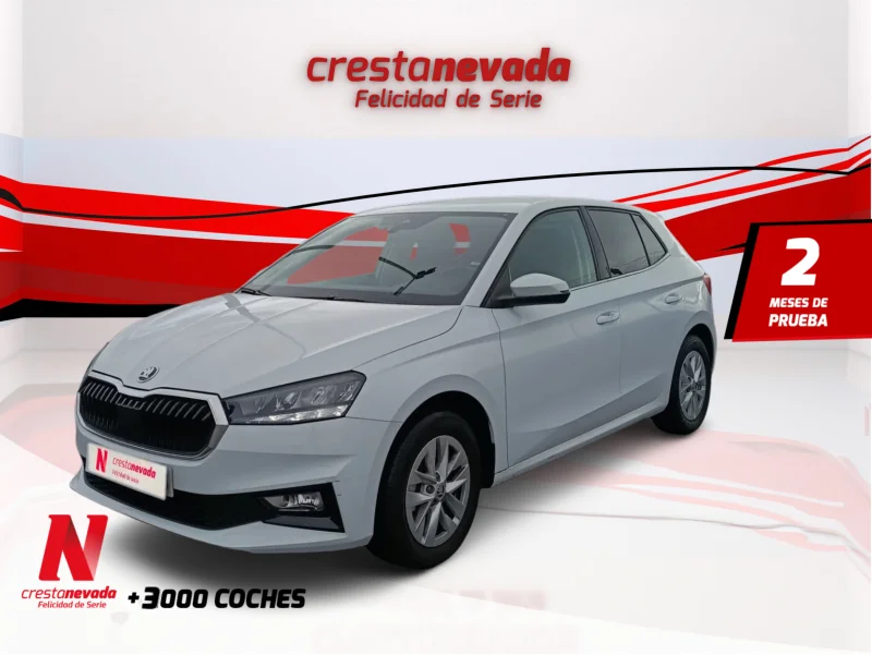 Imagen de Skoda Fabia