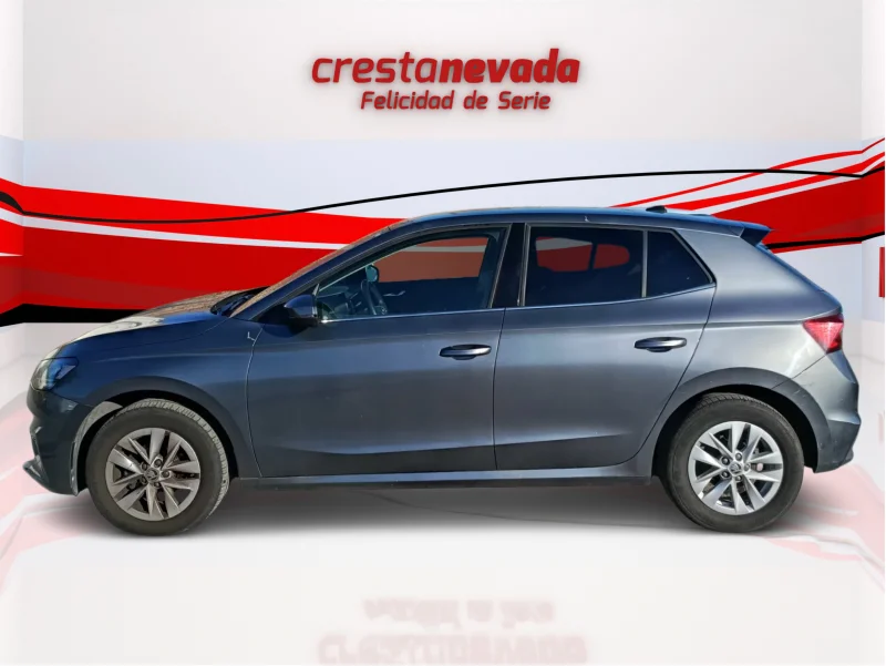 Imagen de Skoda Fabia