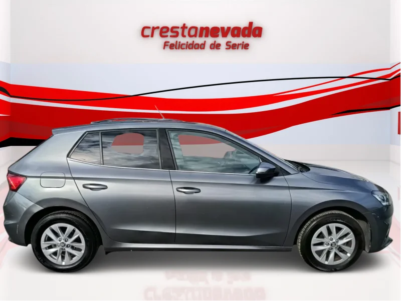 Imagen de Skoda Fabia