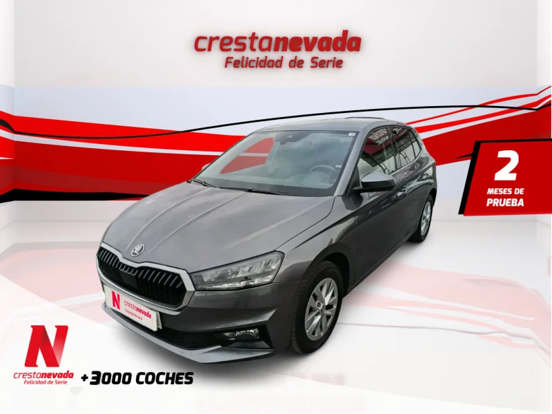 Imagen de Skoda Fabia