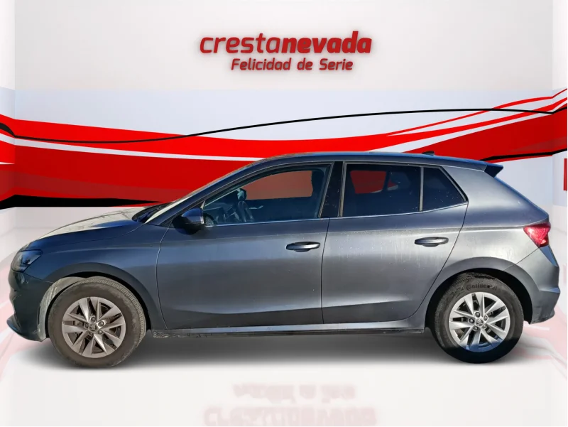 Imagen de Skoda Fabia